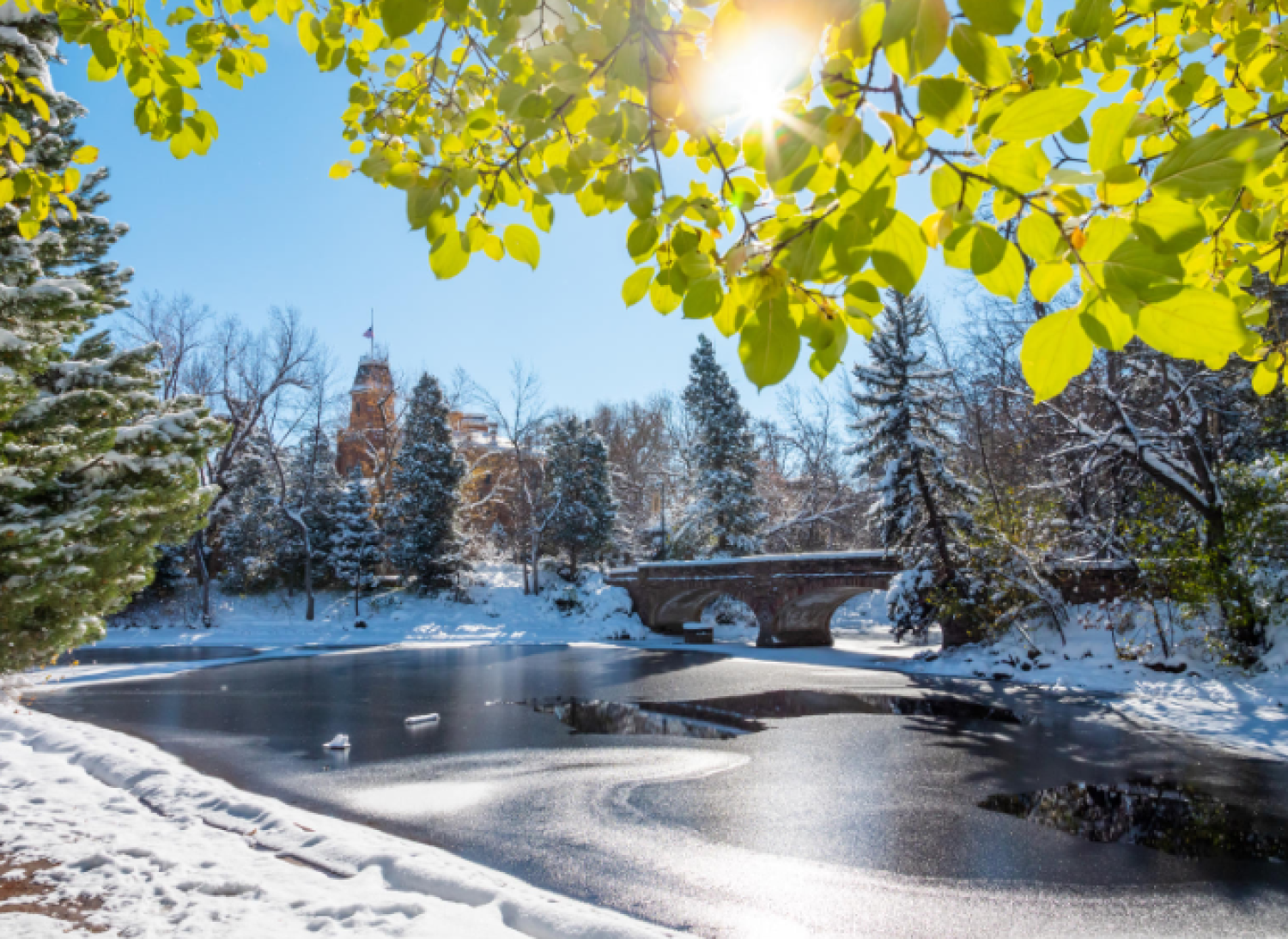 sunny day on campus after snowfall