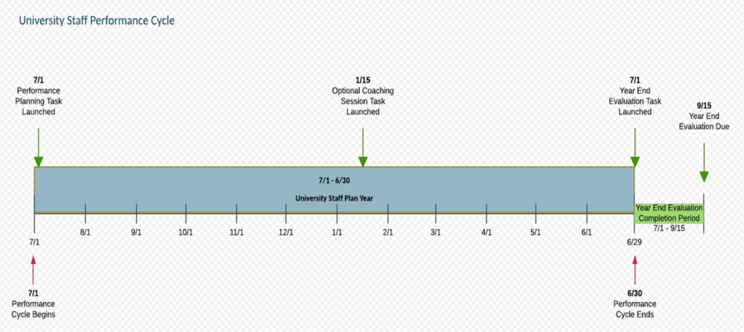 University Staff PM Timeline