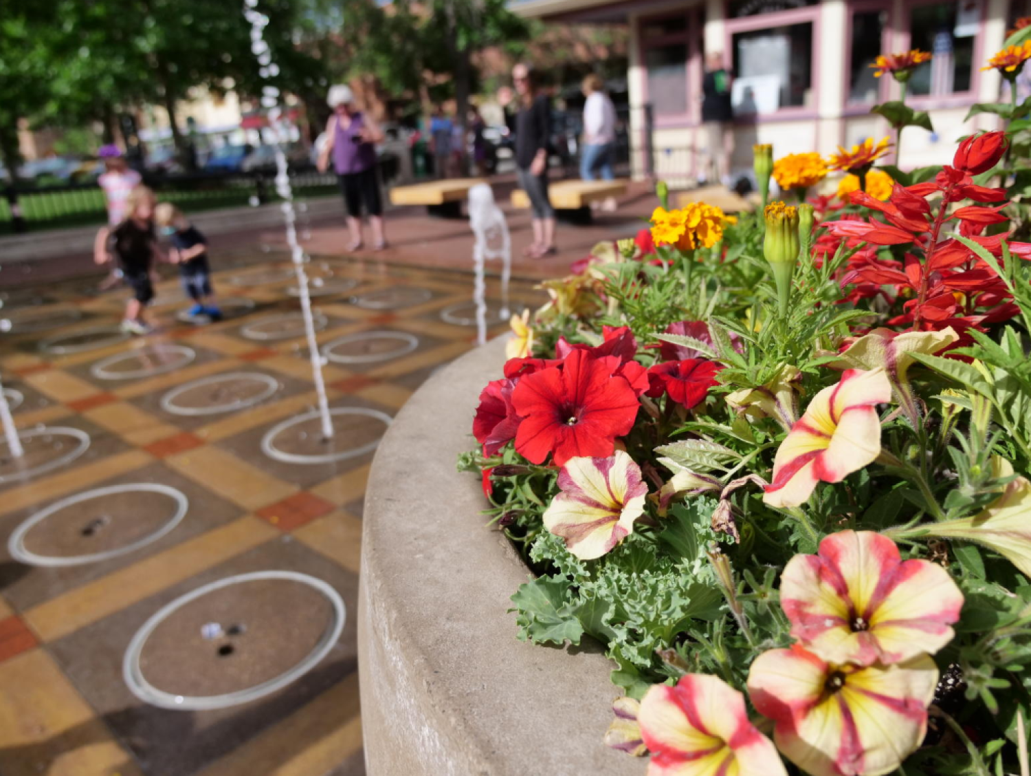 Flowers on Pearl. Casey Cass.