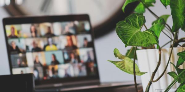 background image of virtual meeting on a laptop with plant in the foreground