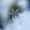 Snowflake