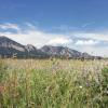 flatirons in summer