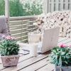 computer sitting outside in sun