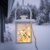 Lantern in the snow
