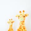 Adult and baby giraffe