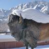 Snow on Ralphie statue
