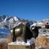 Snow on Boulder Campus