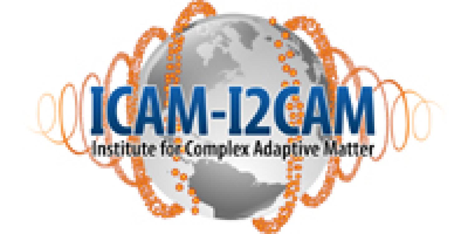 I-CAMP 2010