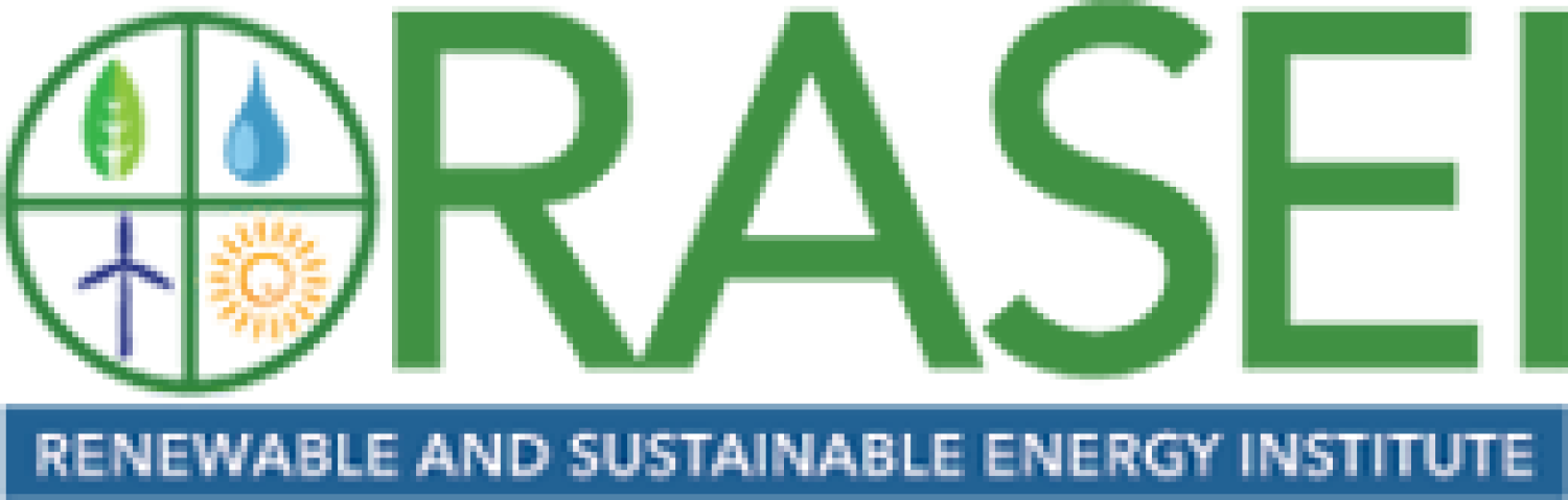 RASEI Logo