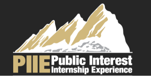 PIEE logo