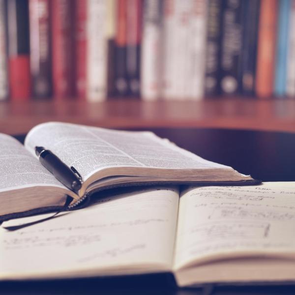 photo of two open books with a pen.