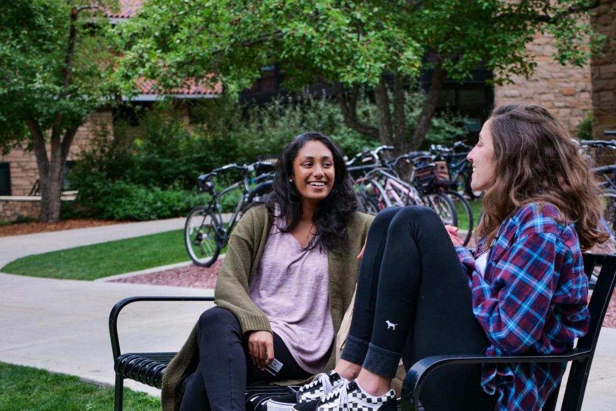 hang out near the ponds in the Kittredge Commons area. (Photo by Patrick Campbell/University of Colorado)