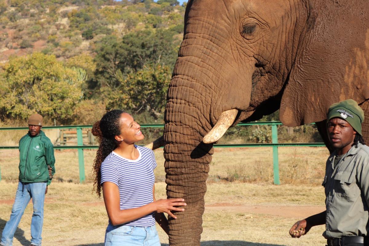 student hugging trunk of elephant