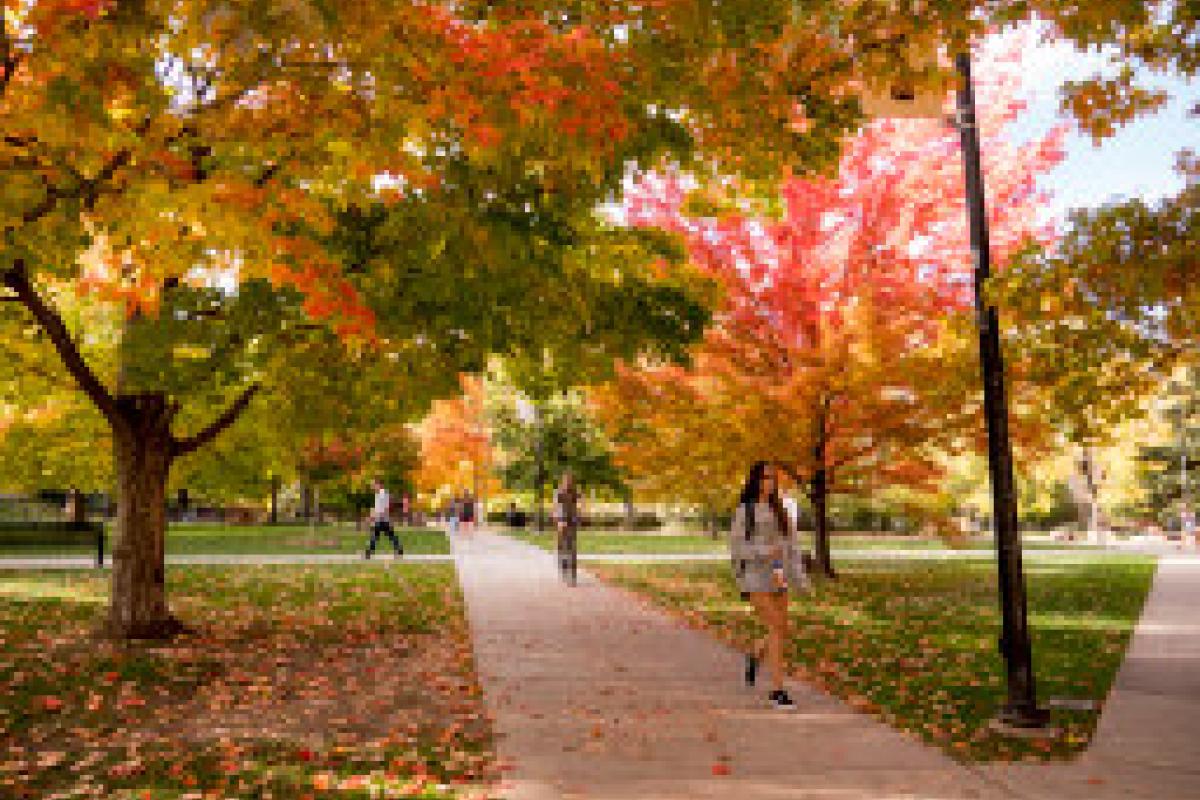 students walking