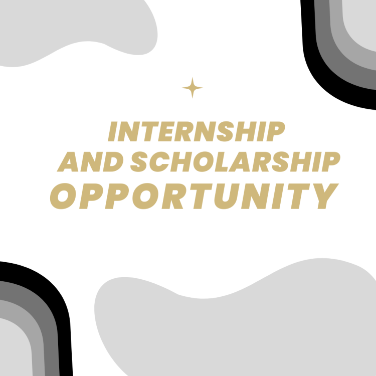 internship and scholarship opportunity
