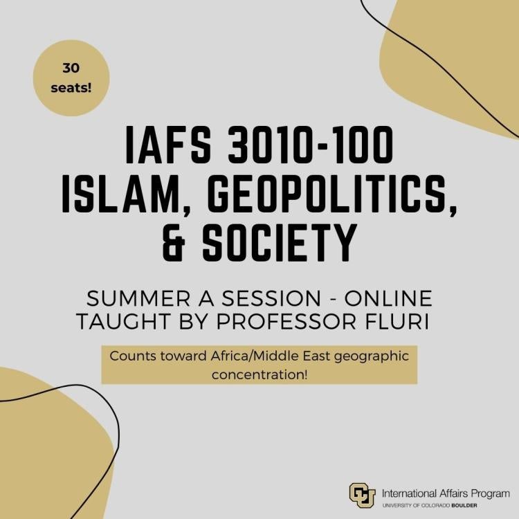 islam geopolitics and society