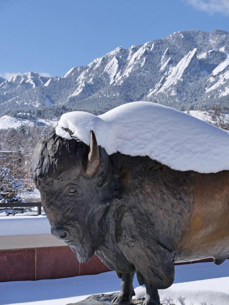cu boulder buff