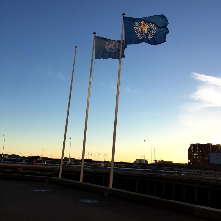 flags in denmark