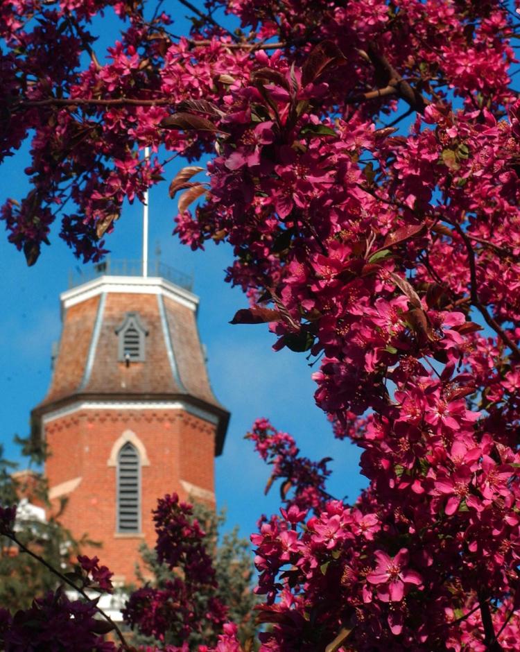 old main tower with flowers