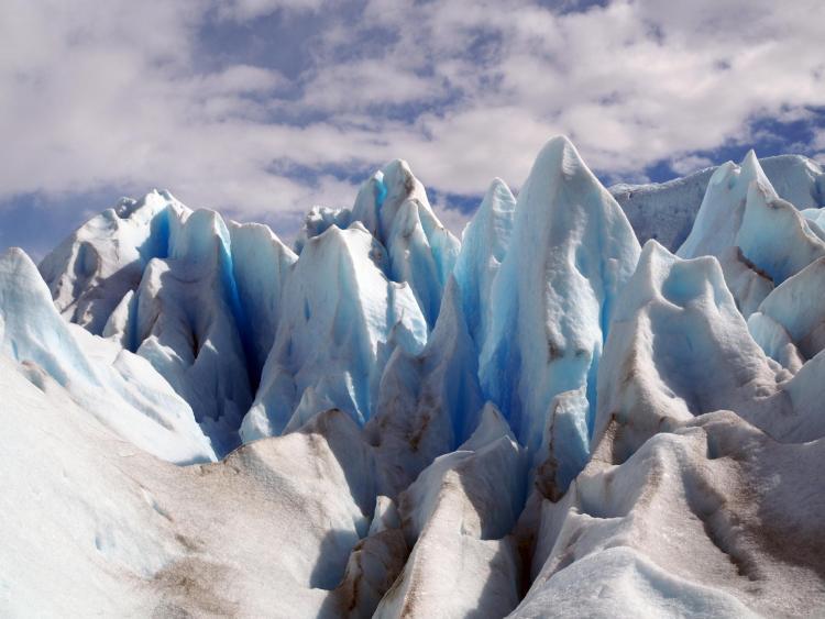 This certificate prepares students to address pressing environmental, political, and cultural issues in the far north.