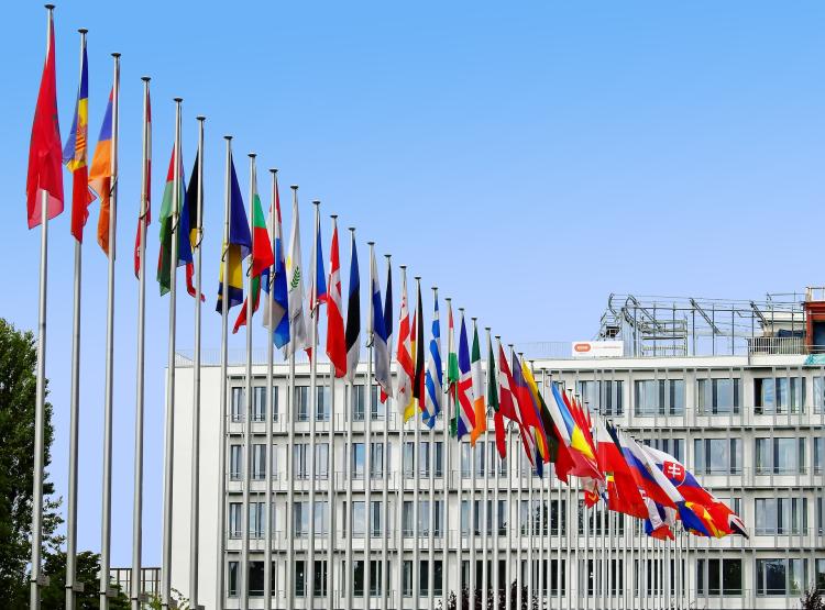 flags outside buildling