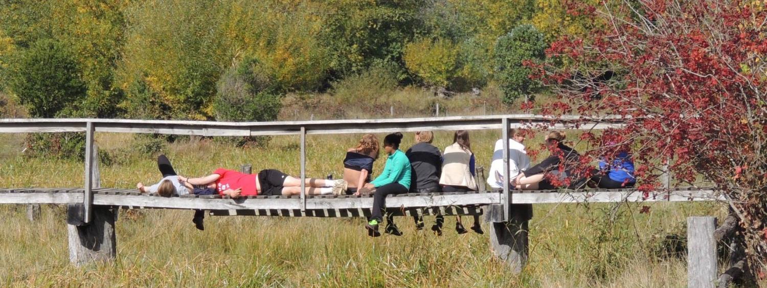 group of students on bridge