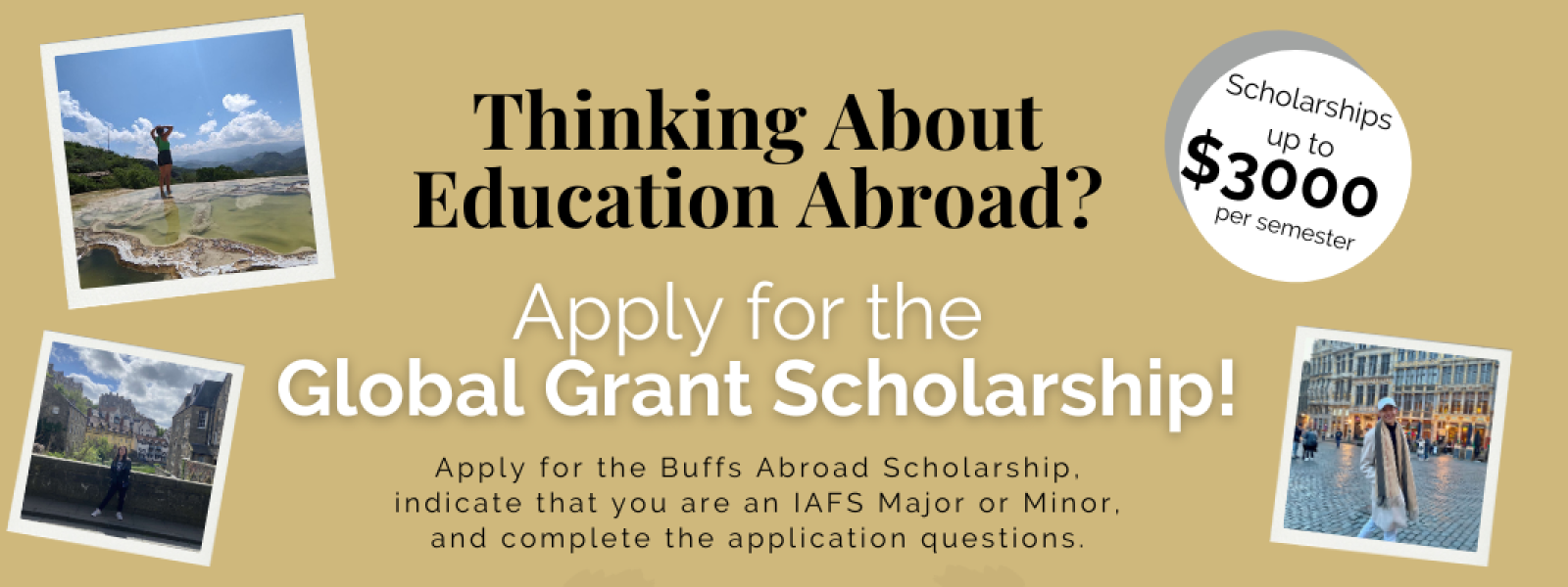 graphic with Global Grant info
