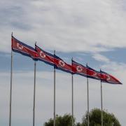 several north korean flags on flag poles with sky in background