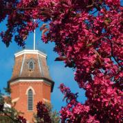 old main tower with flowers
