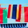 flags 