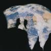 silhouette-of-person-observing-images-of-earth
