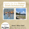 global grant scholarship