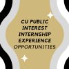 PIIE Internships