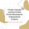 Foreign Language and Area Studies Fellowships