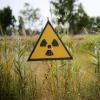 field of grain with a radioactive sign at Chernobyl Exclusion Zone, Ukraine