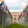 United nations