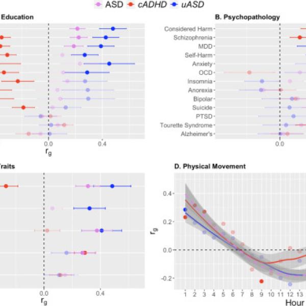 Genetic correlations between uASD and external traits. Genetic correlations between uASD (blue) and external traits for domains of cognition and education