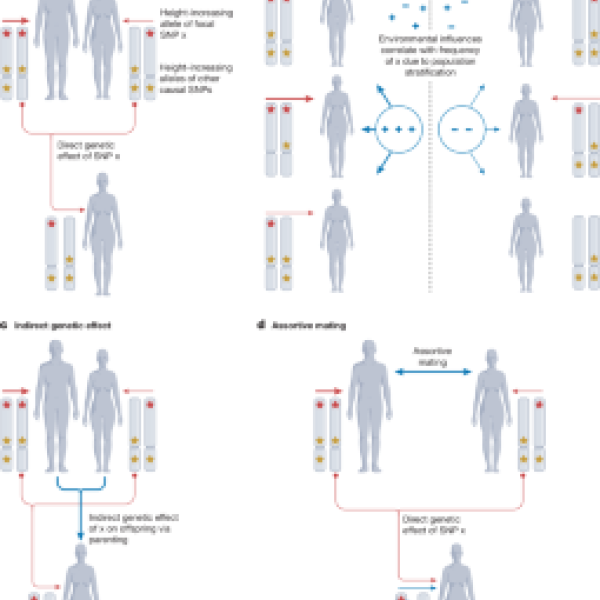 Factors that contribute to genetic associations in GWASs