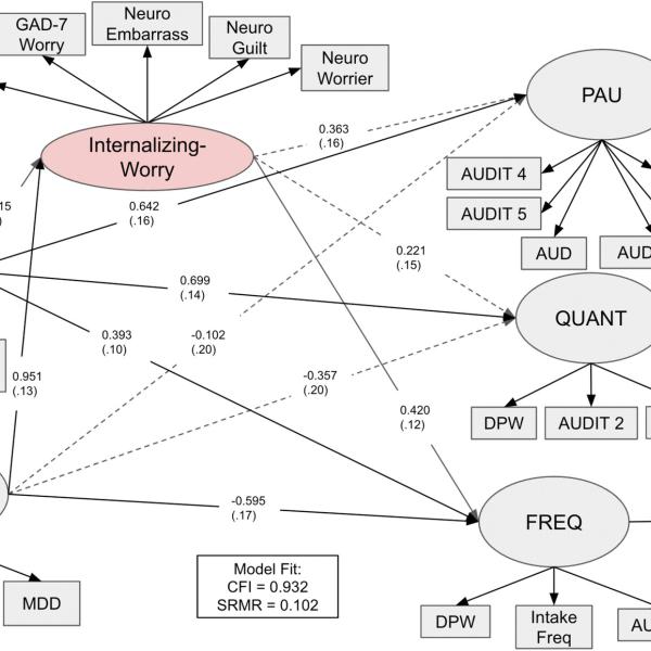 Genomic structural equation model (genomic SEM) six-factor model with five core factors (INT, EXT, PAU, QUANT, and FREQ) and a single specific Worry factor mediating the relationships between the psychiatric and alcohol use factors. Single-headed arrows represent the three alcohol factors regressed on the INT and EXT factors, while double-headed arrows represent correlations. Internalizing (INT) and externalizing (EXT) were allowed to be correlated, as were all three alcohol factors: problematic alcohol use