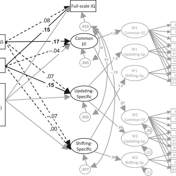 Analysis model of PGSs predicting EF latent variables and Full Scale IQ in Colorado twin data