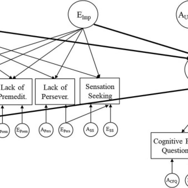 Example of the genetic analysis with other constructs displayed