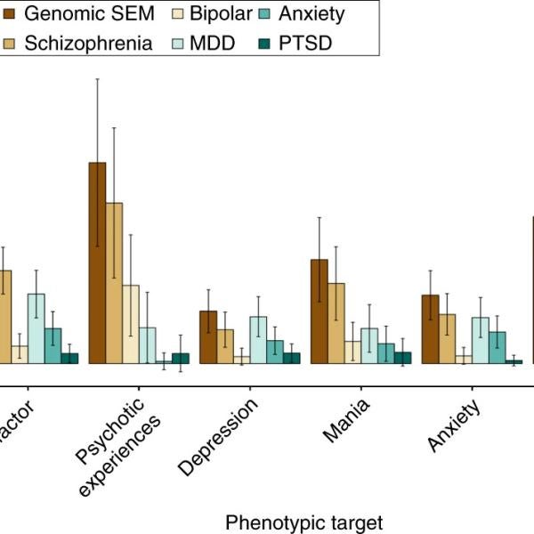 PGSs were constructed using the same set of SNPs for all predictors. R2 on the y axis indicates the percentage of variance (possible range: 0–100) explained in the outcome unique of covariates