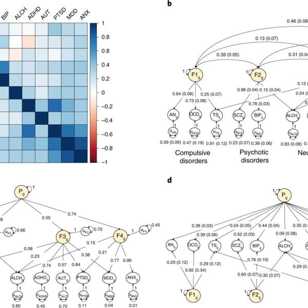 Genetic correlations estimated using LDSC.