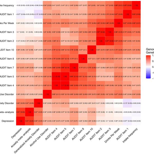 Genome-wide genetic correlations (and standard errors) among 14 traits using