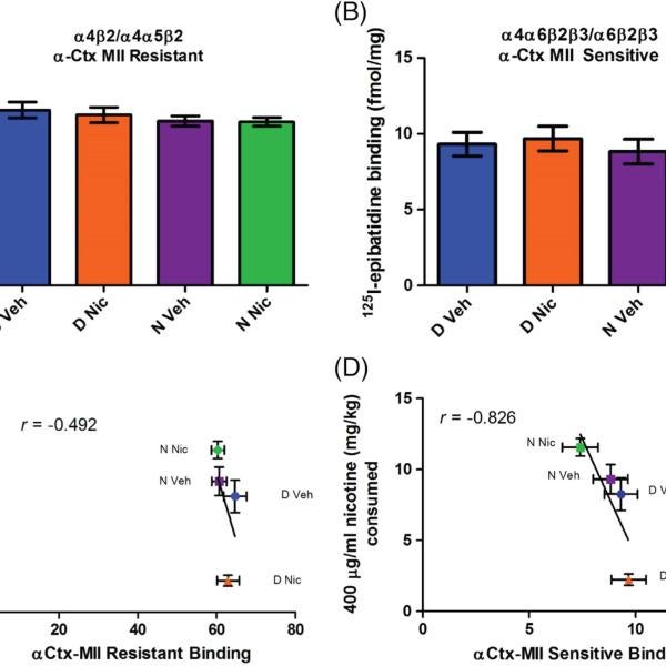 125I-Epibatidine binding in striatal membranes