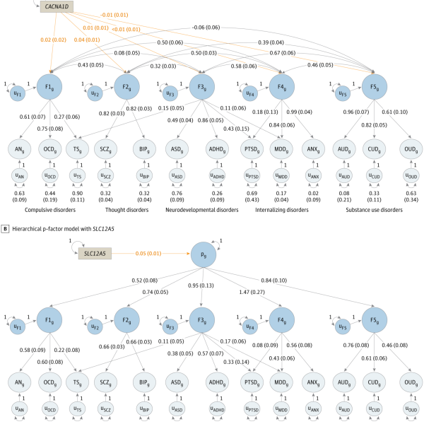Results from the correlated factors model in which the gene expression of CACNA1D predicts the 5 psychiatric factors
