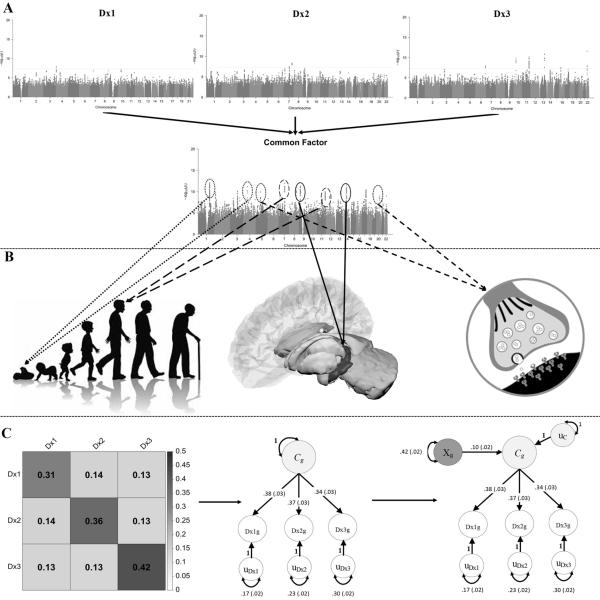Panel A depicts manhattan plots for three hypothetical disorders (Dx1, Dx2, Dx3)