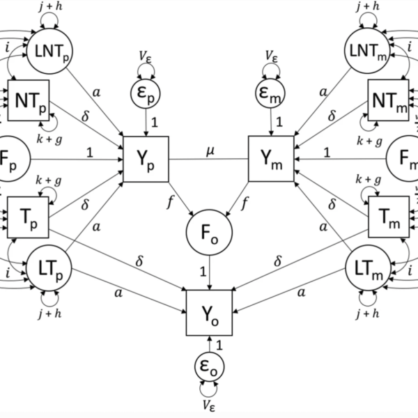 Path diagram of Model 2, which models the effects of AM, VT, and latent genetics