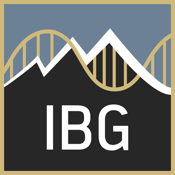 Blue square logo border