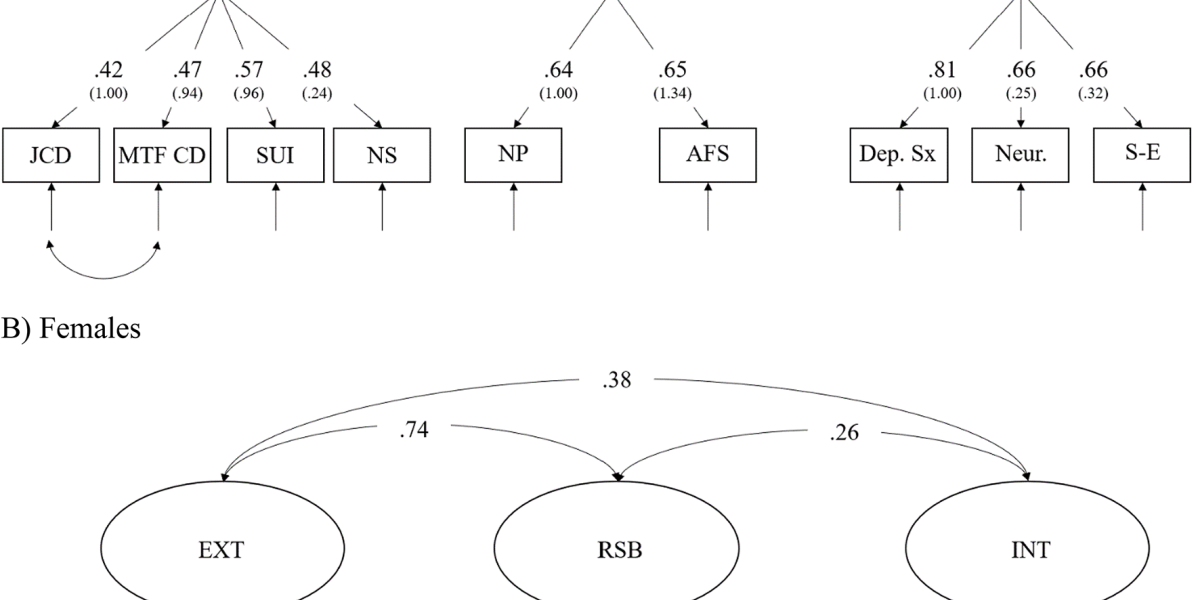 Multigroup phenotypic confirmatory factor analysis, separated by sex